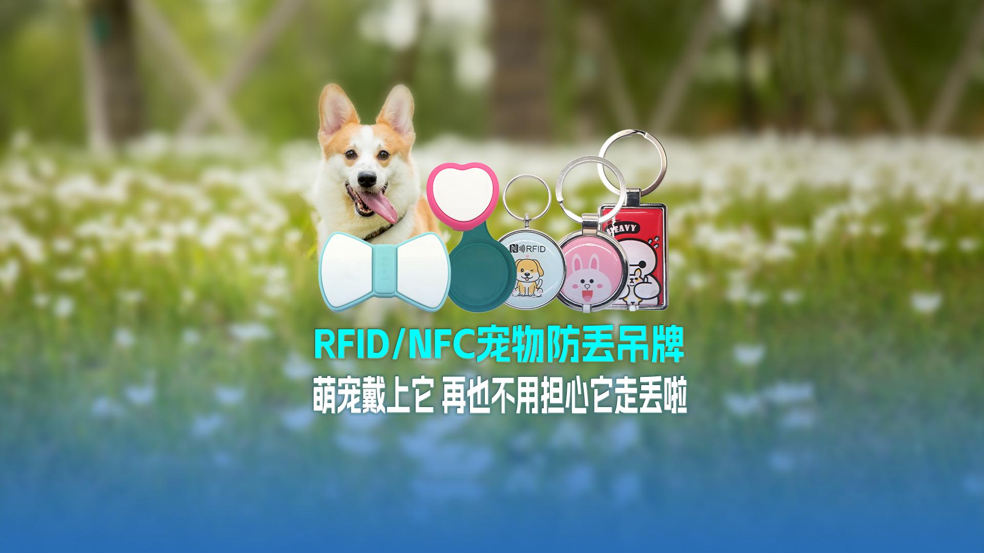 威斯尼斯wns888集团RFID宠物防丢吊牌：萌宠戴上它 再也不必担心它走丢啦